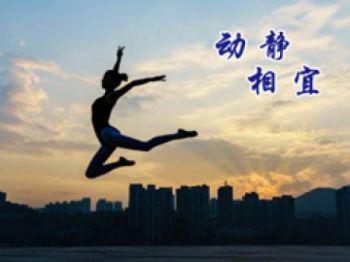 动静相宜
